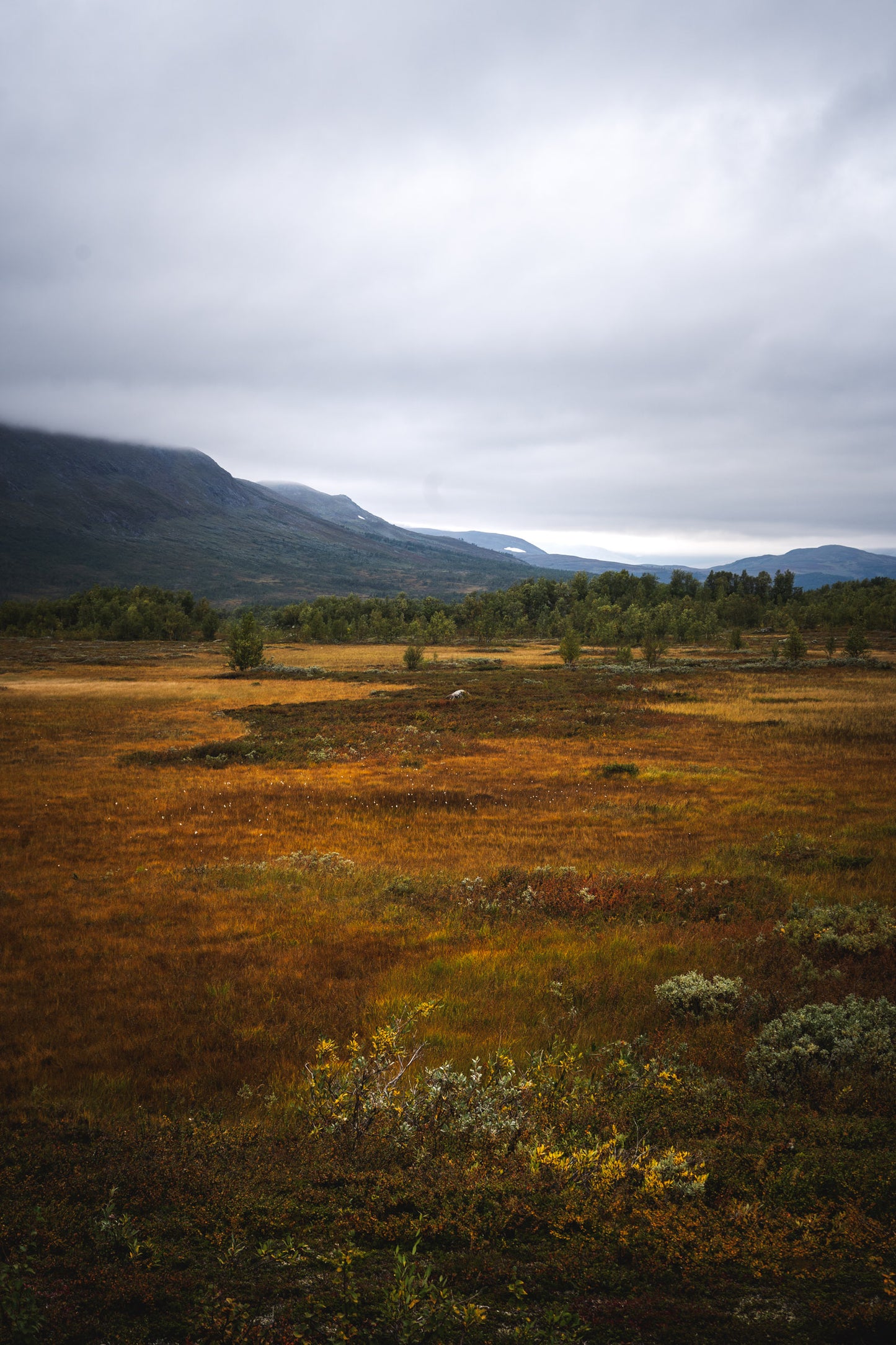 Vid Tärnasjön, 2025