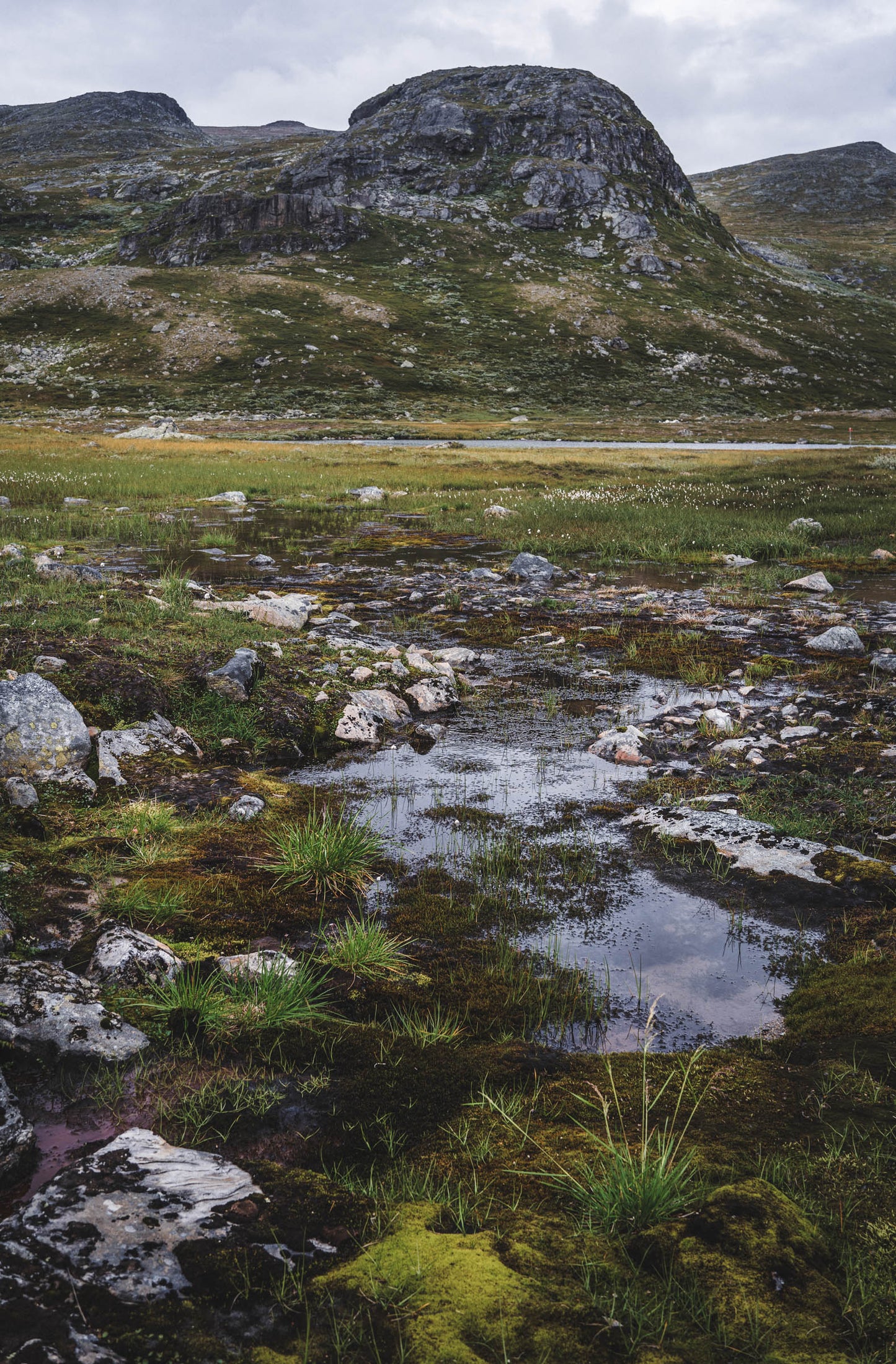 Fjäll #2 © Alison De Mars 2023 Jämtland Sweden landscape fine art photography