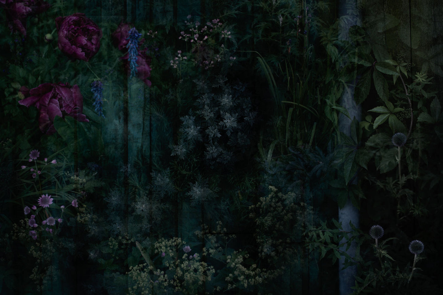 Night Bloom