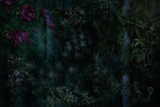 Night Bloom